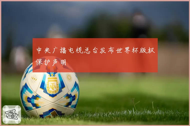 中央广播电视总台发布世界杯版权保护声明
