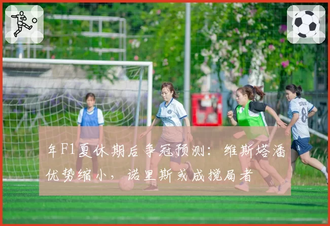 年F1夏休期后争冠预测：维斯塔潘优势缩小，诺里斯或成搅局者