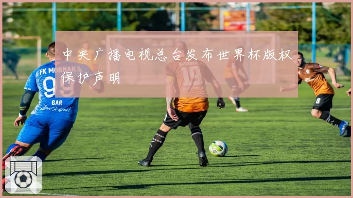中央广播电视总台发布世界杯版权保护声明